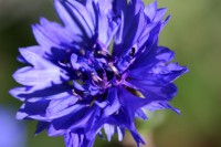 /album/galerie-photos/a2006-07-144-jpg/